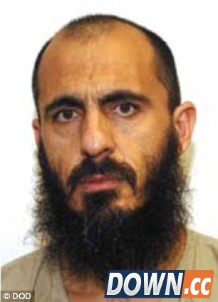 美国交换塔利班人质照曝光