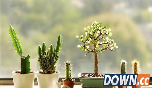 教程：Win7屏幕保护色设置方法