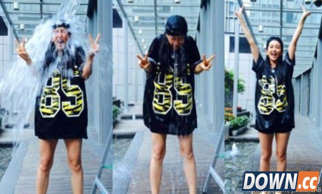 核心数据解析冰桶挑战为何火爆全球