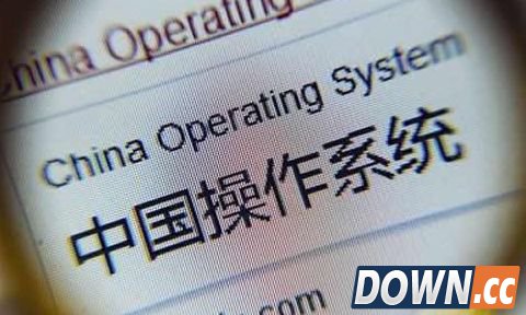 天时地利人和：国产操作系统占哪样