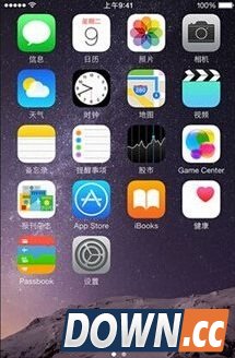 iphone6 dns怎么设置