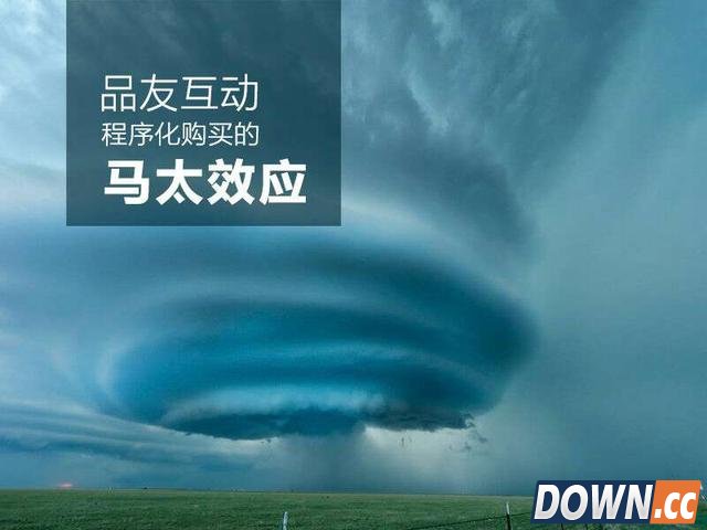 程序化购买的马太效应已经显现：品友互动独领DSP