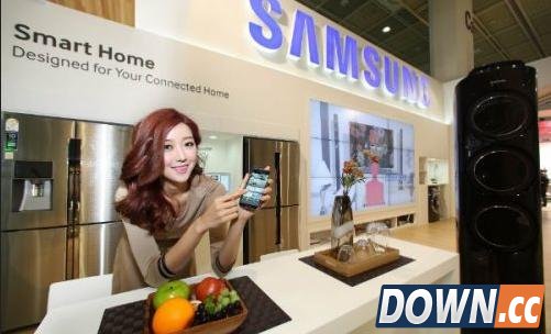 智能家居生态圈：除了梦想 更要落地