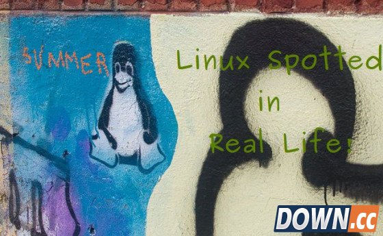Linux_Spotted_real_life