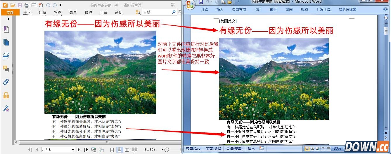 pdf如何转换成word？