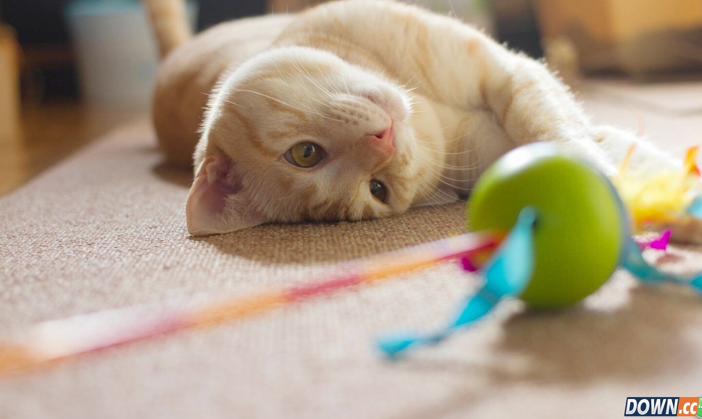 教你三招玩转苹果桌面