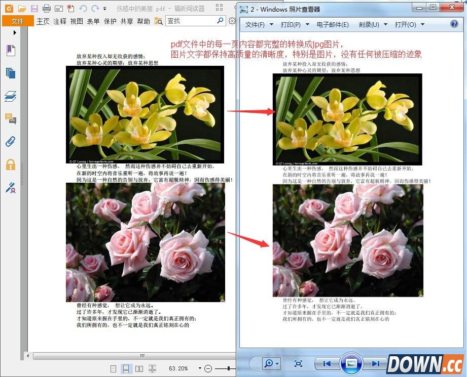 如何将pdf转换成jpg？pdf转jpg图文教程