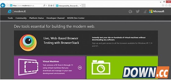  RemoteIE下载安装教程