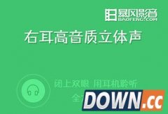 手机版暴风影音字幕怎么添加