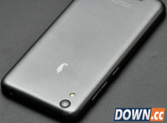 红辣椒任性版多少钱