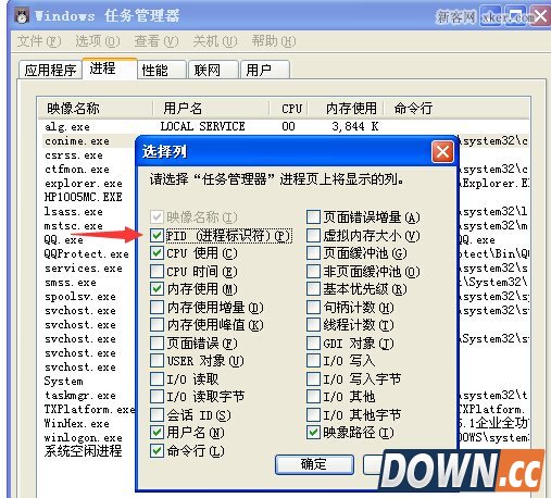 WinHex查找下载器真实下载地址链接的方法图解