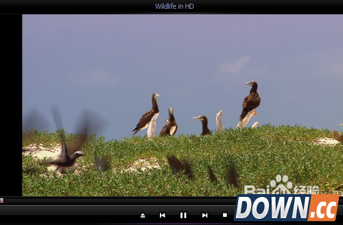 kmplayer播放器怎么用