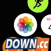 如何将照片同步到Apple Watch上