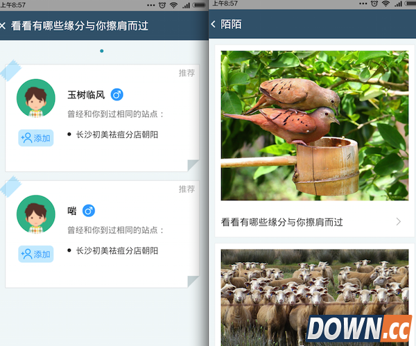 克鲁app怎么玩 克鲁app怎么用