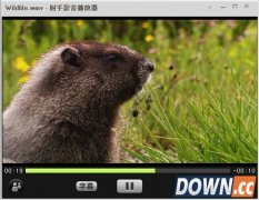 射手影音播放器怎么用 射手影音播放器使用教程