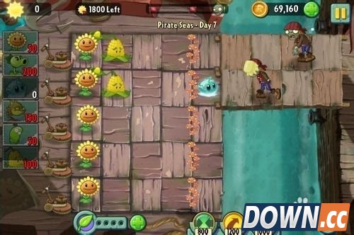 植物大战僵尸2海盗港湾第七天
