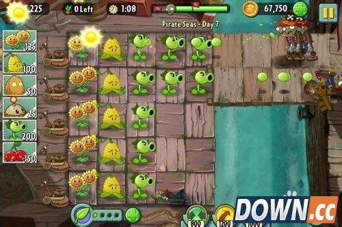 植物大战僵尸2海盗港湾第七天