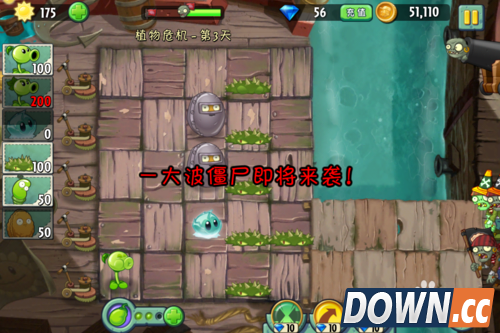 植物大战僵尸2 海盗港湾 植物危机 第三天