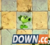 《植物大战僵尸2》鹦鹉僵尸怎么打