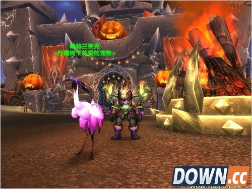 魔兽世界猎人稀有宠物大全。魔兽世界猎人稀有宠物图鉴。