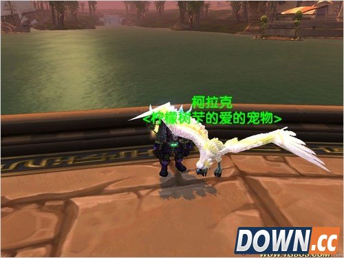 魔兽世界猎人稀有宠物大全。魔兽世界猎人稀有宠物图鉴。