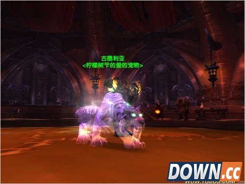 魔兽世界猎人稀有宠物大全。魔兽世界猎人稀有宠物图鉴。