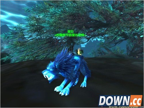 魔兽世界猎人稀有宠物大全。魔兽世界猎人稀有宠物图鉴。