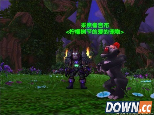 魔兽世界猎人稀有宠物大全。魔兽世界猎人稀有宠物图鉴。