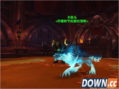 魔兽世界猎人稀有宠物大全。魔兽世界猎人稀有宠物图鉴。