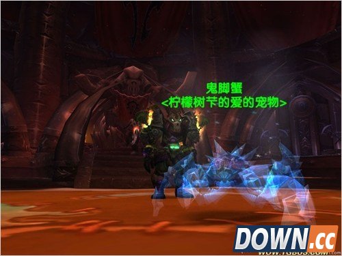 魔兽世界猎人稀有宠物大全。魔兽世界猎人稀有宠物图鉴。