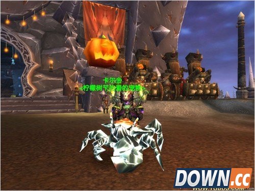 魔兽世界猎人稀有宠物大全。魔兽世界猎人稀有宠物图鉴。