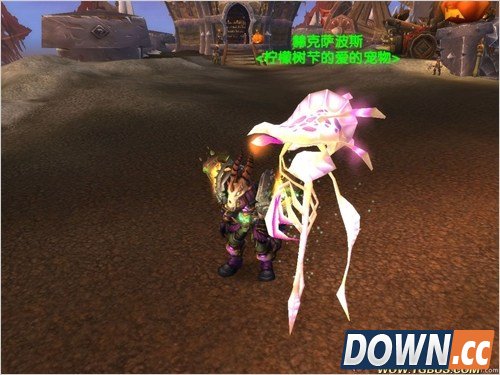 魔兽世界猎人稀有宠物大全。魔兽世界猎人稀有宠物图鉴。