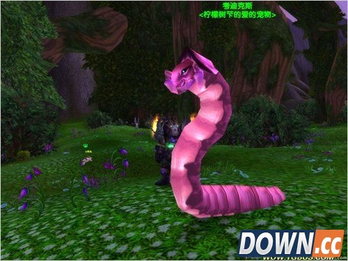 魔兽世界猎人稀有宠物大全。魔兽世界猎人稀有宠物图鉴。