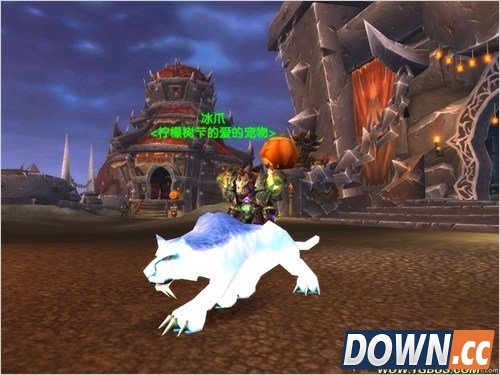 魔兽世界猎人稀有宠物大全。魔兽世界猎人稀有宠物图鉴。