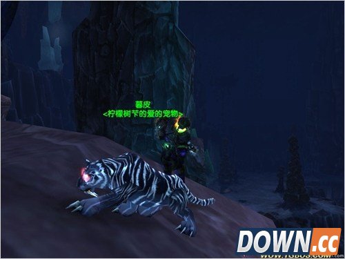 魔兽世界猎人稀有宠物大全。魔兽世界猎人稀有宠物图鉴。