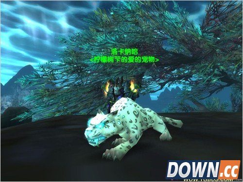 魔兽世界猎人稀有宠物大全。魔兽世界猎人稀有宠物图鉴。