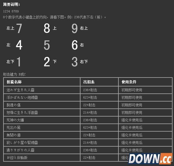 点击查看大图 东方绯想天出招表