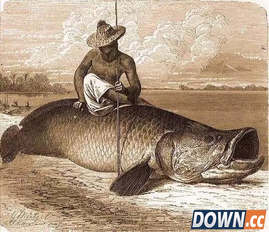 《街霸2》中人物场景原型