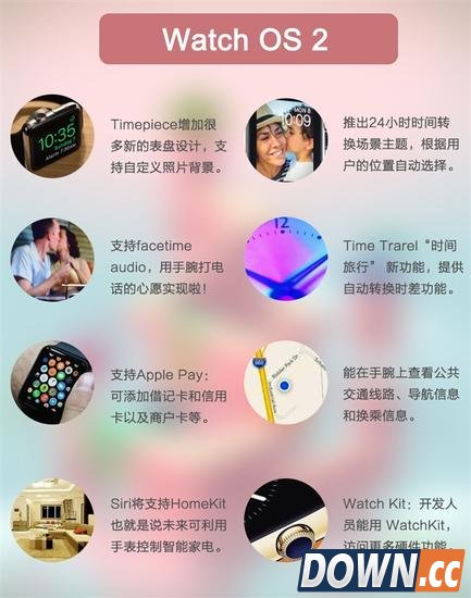 12万的苹果表被偷咋办