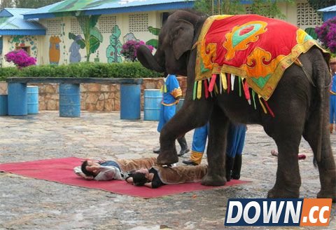 世界上最怪异的按摩