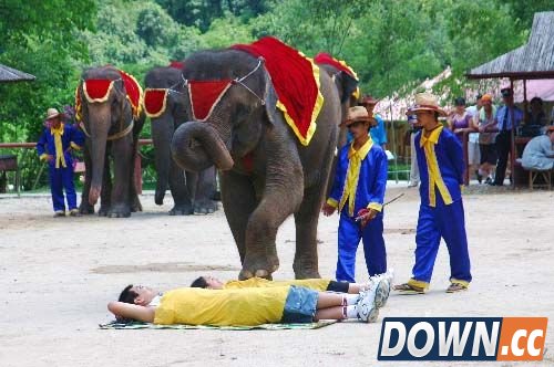 世界上最怪异的按摩