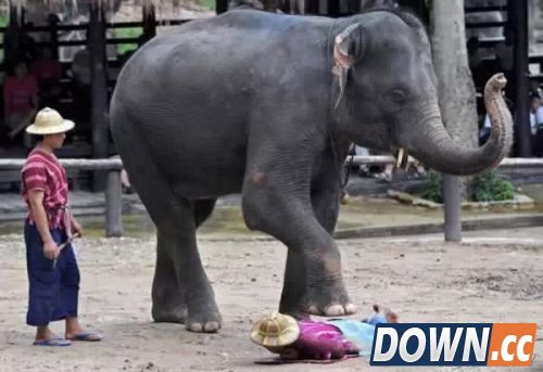 世界上最怪异的按摩