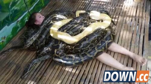 世界上最怪异的按摩