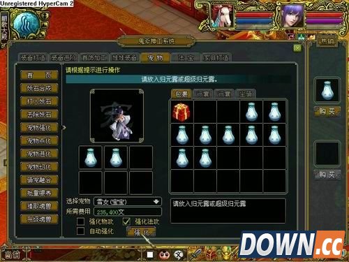 问道宠物强化攻略