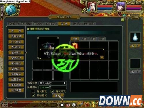 问道宠物强化攻略