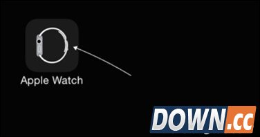 手机qq显示apple watch在线