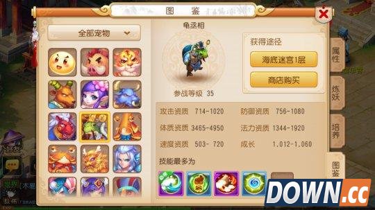 梦幻西游血宠龟丞相,西游