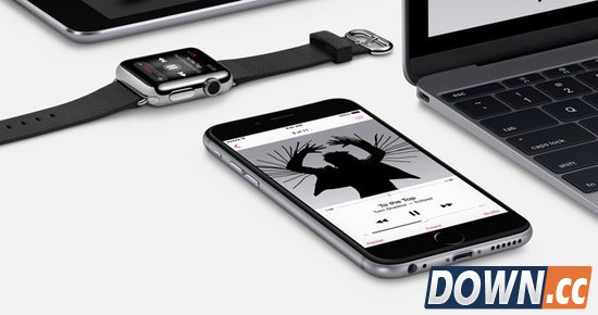 iPhone第二季度销量达5300万部 中国是主要市场