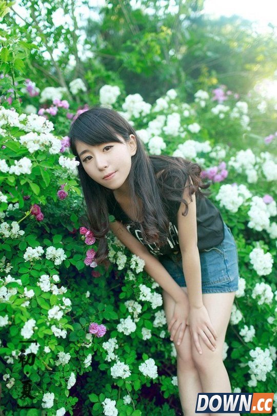 WOA战队美女选手最新写真