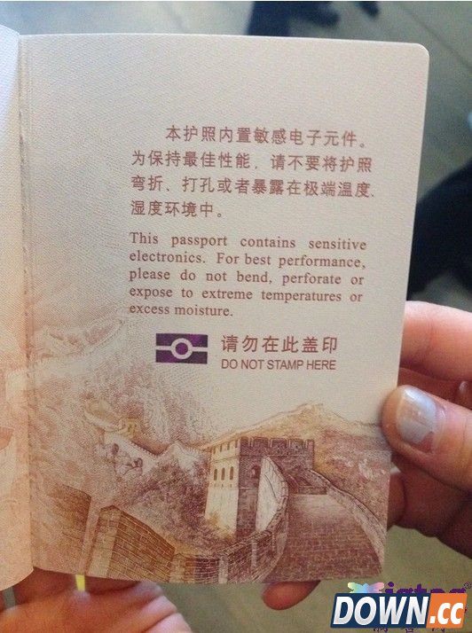 中国电子护照申请办理事项